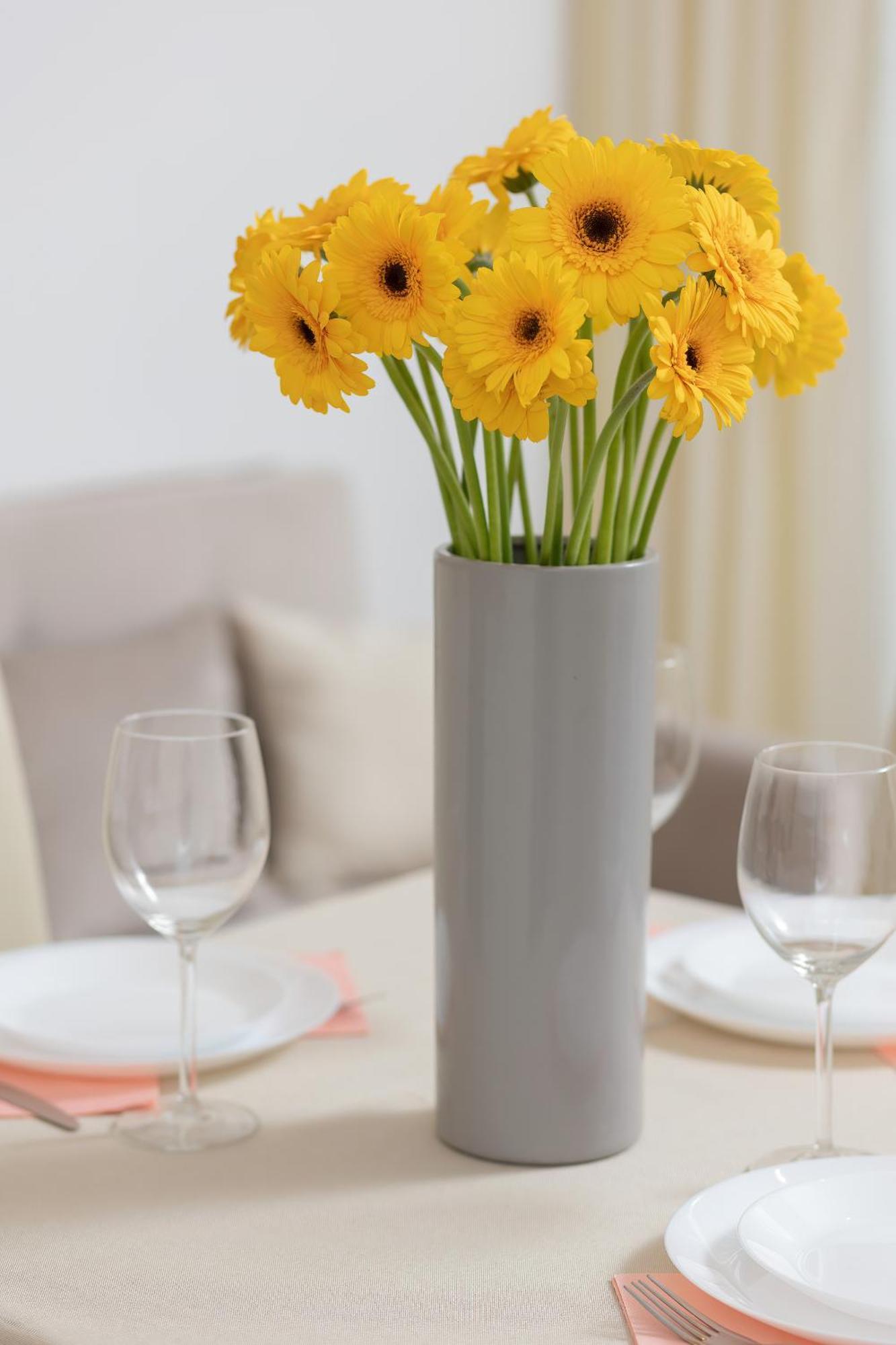 Bright Srodmiescie By Renters
